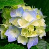User_14988