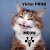Victor PROG - Meow