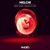 Melchi - Falcon