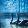 Ataraxia - Llyr