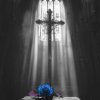 Ava Max - Lost Your Faith (SONIKKU Remix)