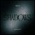 Tiesto & Undercatt - Shadows