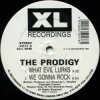 The Prodigy - Minefields