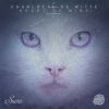 Charlotte De Witte - This (Lewis Fautzi remix)