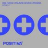 Sub Focus & Culture Shock & Fragma - Miracle