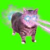 XertXetin - OIIA OIIA COSMIC CAT (Slowed)