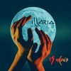 Illaria - ,  