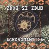 Zdob și Zdub - Tempo