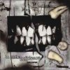 In Strict Confidence - Burning Angel (Biopsy Remix)