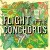 Flight Of The Conchords - A Kiss Is Not A Contract