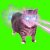XertXetin - OIIA OIIA COSMIC Spinning CAT