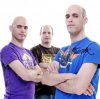 Flash Brothers - Sarcasm