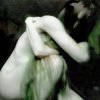 YARAY -  ,    