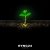 SYNC24 - Bioluminescent Creatures