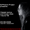 Dj Phoenix Project - [MT&HV49]Melodic Techno&House Vibes vol.49