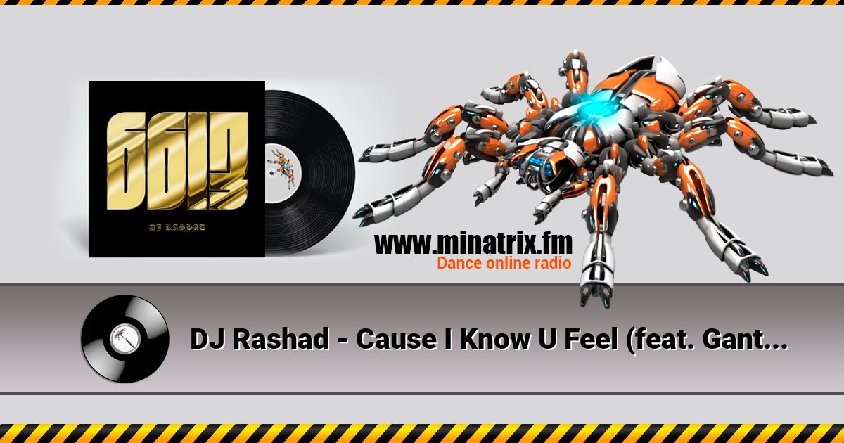 DJ Rashad - Cause I Know U Feel (feat. Gant-Man) DJ Rashad - Cause I Know U Feel (feat. Gant-Man) скачать бесплатно