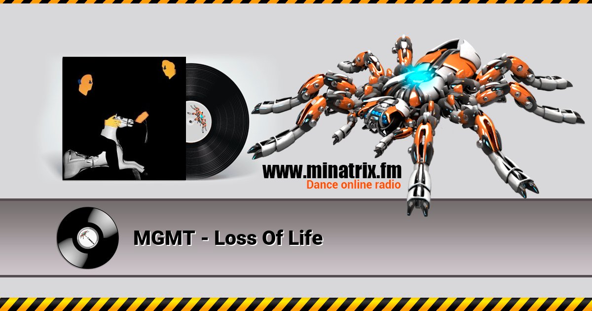 MGMT - Loss Of Life MGMT - Loss Of Life скачать бесплатно