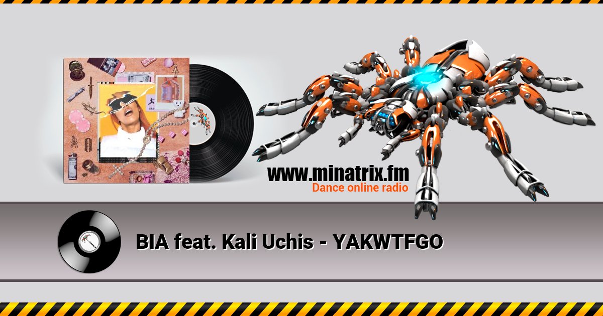 BIA feat. Kali Uchis - YAKWTFGO BIA feat. Kali Uchis - YAKWTFGO скачать бесплатно