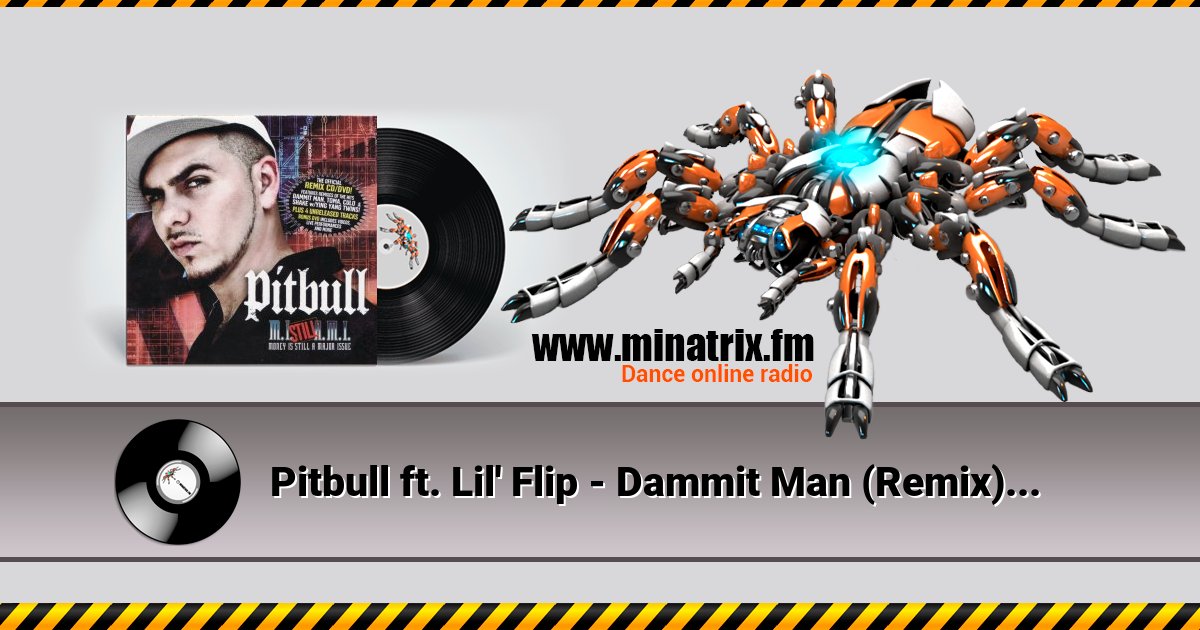 Pitbull ft. Lil' Flip - Dammit Man (Remix)  
