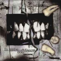 In Strict Confidence - Burning Angel (Biopsy Remix)