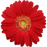 User_11033