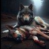 User_16070