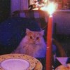 User_16074