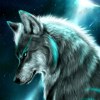 User_16311