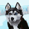 User_16365