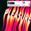 Обложка HAWK - Pleasure (feat. Azooland) HAWK - Pleasure (feat. Azooland)