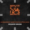 Обложка WHOWHENWHY, Guest Who & Haylee Wood - Sounds Insane (Extended Mix) WHOWHENWHY, Guest Who & Haylee Wood - Sounds Insane (Extended Mix)