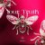 Taly Shum - Your Truth