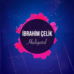 Обложка Dj Ibrahim Celik - Haligard