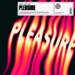 Обложка HAWK - Pleasure (feat. Azooland)
