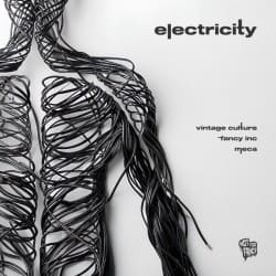 Обложка Vintage Culture, Fancy Inc, Meca - Electricity