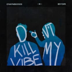 Обложка Ownboss - Don't Kill My Vibe (feat. BYOR)