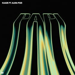 Обложка KAAZE feat. Alina Pozi - Papi