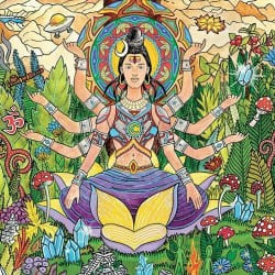Обложка Astrix - Deep Jungle Walk