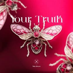 Обложка Taly Shum - Your Truth