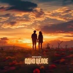 Обложка ASANDE - Одно целое