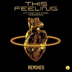 Обложка Vintage Culture feat. Goodboys - This Feeling (Velvet Mode And Chris Arna Remix)