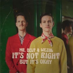 Обложка Mr. Belt & Wezol - It's Not Right (But It's Ok)