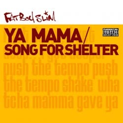 Обложка Fatboy Slim - Song for Shelter