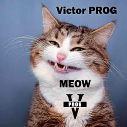 Обложка Victor PROG - Meow