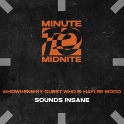 Cover WHOWHENWHY, Guest Who & Haylee Wood - Sounds Insane (Extended Mix)