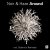 Noir & Haze - Around (Solomun Vox)