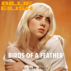 Обложка Billie Eilish - Birds Of A Feather