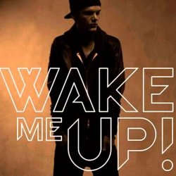 Обложка Avicii feat. Aloe Blacc - Wake Me Up