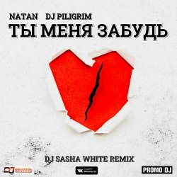 Обложка Natan & DJ Piligrim - Ты Меня Забудь