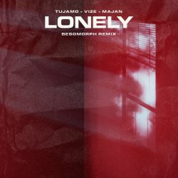 Обложка Tujamo feat. VIZE & Majan - Lonely (Besomorph Remix)